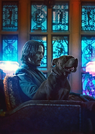 collection-preview-2