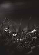 2023-06-23/8aa163cb0b95a924eefde8f793b76248_ebf2ce819cf8d55ce6701d3336f8578d