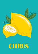 2023-06-24/a83d7bdd44f1ceec32c999657c1a3272_c2c85e3a44eda13341b0c741f47ec4fb