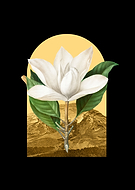 2023-06-29/dac43fd2b235cdcdfb825ad3b7ae3129_5713c1bec83ccf32bf5816f7b6f6f800