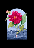 2023-06-29/fe93f1839a77b4bb8d08d04d88af8bf7_301d6829b08bfb8ae8c1c171c6c93340