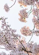 2023-07-03/259e1347aa962b70e00c2441d382a9fc_e68cbd81381aef350bb74d13f0adb9b5