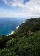 2023-07-10/c51e2591c598e375050991a1d5da2af7_491a361aa0018fa2892eb39209c4091b