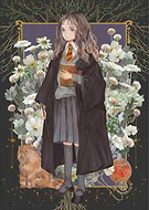 collection-preview-2