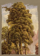 2023-07-17/4b2110db06af1d5456b02cdab96f2fbc_22fb773096b16546a2e8d6a2673add8e