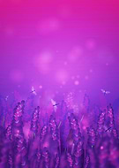 2023-07-18/e92a6cdf84d2e59fcd97ec918be91c69_3bb629e4818d4286baa9d81d92af2545