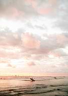 collection-preview-1