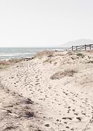 collection-preview-3