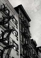 collection-preview-0