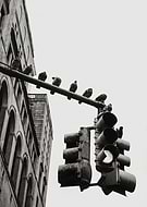 collection-preview-0