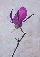 2023-07-28/9d6c46a9ce4c652581c3fd9b3a329bf9_7344df652572006c2f1e5e2d32a603d0