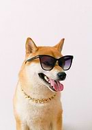 2023-08-02/c4eb6ad8607f82df3811c6dee81d7640_462839dca0d6c1c92082477173a1cf60