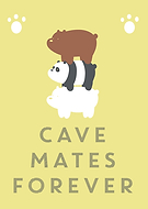 collection-preview-0