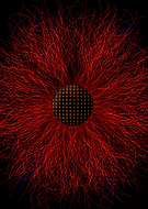 2023-08-04/1b1e4d34e87cf3a9f6a1517f524ac19a_885359b9d9d35dec181fff6168fb59db