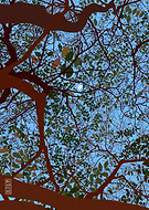 2023-08-06/f4a3131832fd9ee89a4c720c44f6110c_4838a4edc8da55d514b4c9f2f6412154