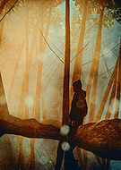 2023-08-07/7e7cb267fd7827269b45ca5d44495bb2_200b919ff6e10c35baa438a1ba948111