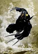 collection-preview-3