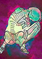 2023-08-25/6b813081cb9816266a4a8d565bd32d48_7f49ba96d1e39285f3ef5b79d191e022