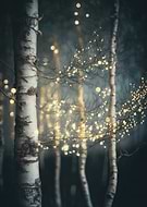 collection-preview-0