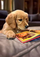 2023-08-29/e29b1751d01ea6746e60aaf6f83d87fd_1049aca5242424559242c05d4dfcac36