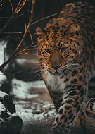 2023-09-03/1800b71763d22e634877edb3556497df_15e586fb3ead2f98517b1065179cfa5c