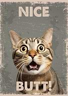 2023-09-03/5448dd3f1b1d717e1e568a406e5b6a28_35fa216f86b494fd72031bf858e5d910