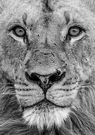 2023-09-03/565a9e4c5ee2badf39d5f358d14e7ad2_5ef06d7a89e1eedb7fd7df39f296b8cc