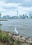 2023-09-04/7c63672634cddbf9ff3c034062287a70_7298d37ed9c13fe06a25f7e4789fd6a2