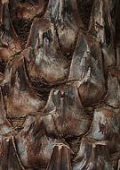 2023-09-05/ae6700ae2a79cf529f4ef84d724cffd1_6a608ae629c4bbd8c7b1a8a231e3c1eb