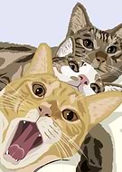 2023-09-12/00babeb35e9b86d6b90fe757dddceeb1_2f62f149741a9be14b7a09ddea01b6e0