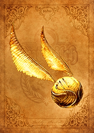 collection-preview-0