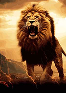 2023-09-16/9405ac2375da68b67ebf418d27758b38_b48ed8c4193f56ff2c46a785c2daaf53