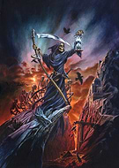 collection-preview-1