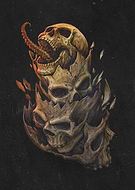 collection-preview-1