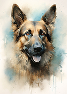 2023-09-27/b8f98bf0279154eaf6465c3b2b4210f5_0c36822ec82d08864c5a81edc6966b36