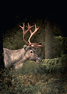 2023-09-28/3c2e41703e8f0bffae70836f80217c73_c2b961b53da00ac482caac0eaf133e32