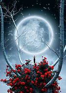 2023-09-28/8ad2989e1b0b01555c05929018b8e60d_438dfbfc9e38e437614e5e7ccb983cf8