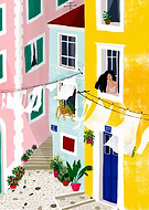 collection-preview-1