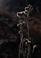 2023-09-30/0b39cd9444cc66e89b5f9d07ebade147_d5931c2cba8835371a279221d0d05595