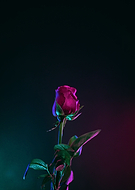 2023-09-30/e95b89fb7579d70e6f62a73bf047fd13_fbfd6fadb3eba0d5ca69455c15183a96