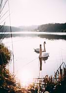 2023-10-01/48f5ef7fd978df9c1f9d0a4c505f518c_76e46f7be7aa1a375a460396f4be7a31