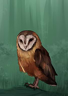 2023-10-02/6cd528668302149521781513e61d2e03_f7980ea44d162db74a04cc793d451dab