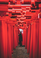 collection-preview-3