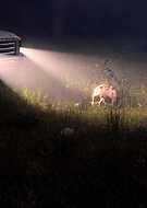 2023-10-06/1ab265542ecebae17516dc8aa262aaf4_3d539d9ad5201854c8369c7a9ffce0d8