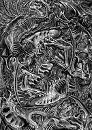 collection-preview-0