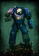 collection-preview-3