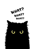 2023-10-17/13a056f235442a5d1bfc057a88a3ec62_880db9078c49fe8a07059333039cde8b