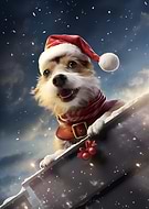 2023-10-20/484d15627202dc4b114d4066327ebb75_b5115c67ae3fc8ae6af7884273ccea92