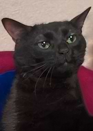 2023-10-23/759153bb9f4fecac247592c78250dbcd_7067e2529e9aceb3a1c4dd27d5ea548a