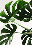 2023-10-23/9fa881eb57fd6db5744a6c8dd155c780_dfcc20c82fbb8150f4065b100db587e9